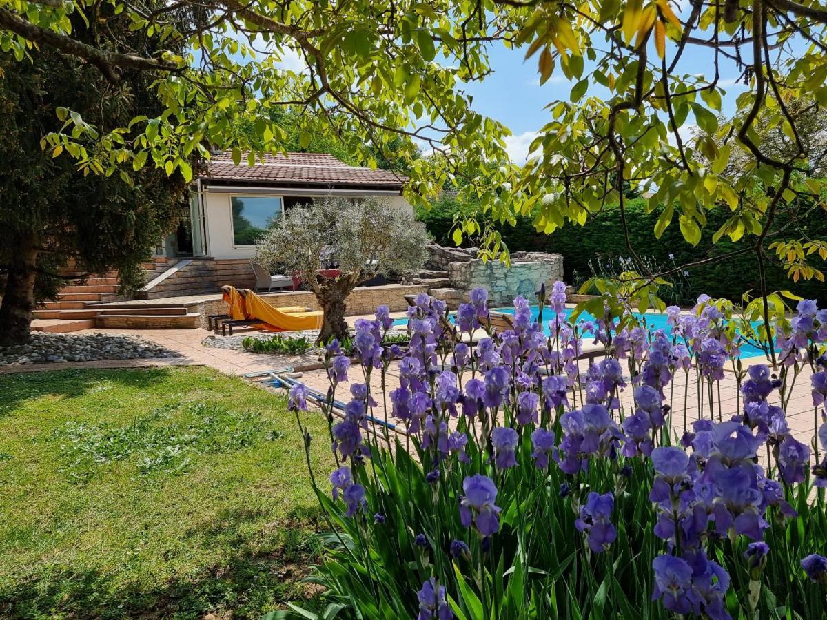 Chez Amelie Daire Crémieu Dış mekan fotoğraf
